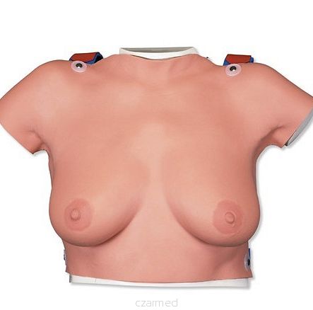 Model do badania piersi