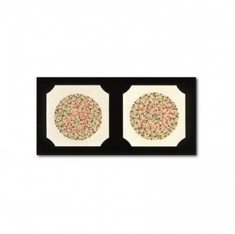 TABLICA ISHIHARY - 38 TABLIC (TEST ISHIHARY, TABLICA PSEUDOIZOCHROMATYCZNA)