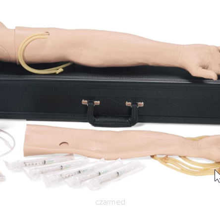 Multi-Venous IV Training Arm