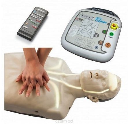 Manekin  BRAYDEN  wizualizacja krążenia