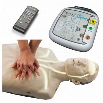 Manekin  BRAYDEN  wizualizacja krążenia