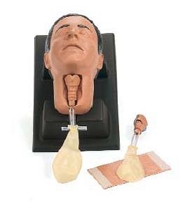 Cricoid Stick Trainer - konikotomia